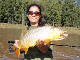 Ready to be released Ready to be released