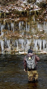 Fishing in New York Gallery Fishing in New York Gallery