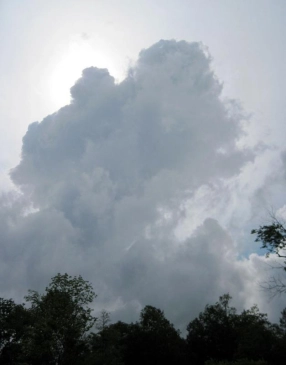 Fishing in New York Gallery Fishing in New York Gallery