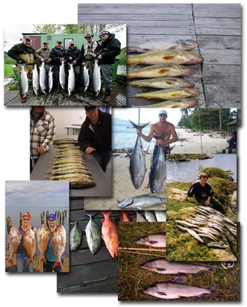 Killing me softly Killing me softly