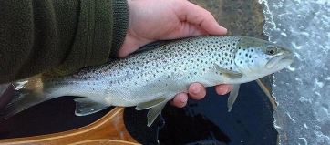 Fishing in New York Gallery Fishing in New York Gallery