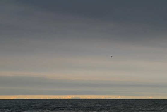 Today is GFF day - image Today is GFF day - image