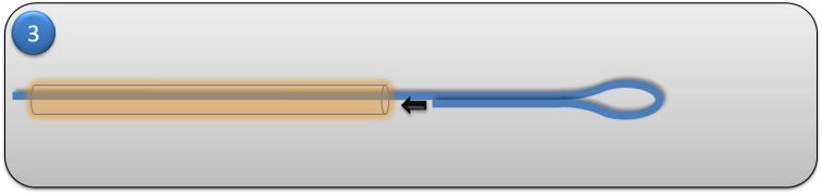 Step 3 - Insert the tip of the fly line into the shrink tube. Step 3 - Insert the tip of the fly line into the shrink tube.