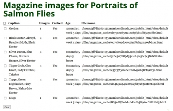Controlling the cache Controlling the cache