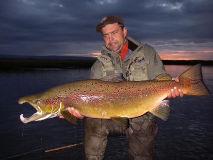 A monster fish A monster fish