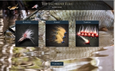 The web site The web site