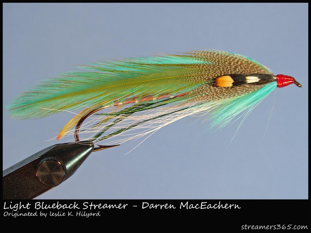 Light-blueback-Streamer Light-blueback-Streamer