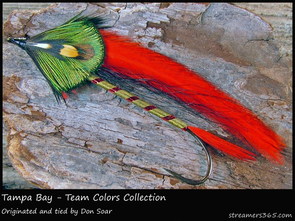 #101 Tampa Bay - Team Colors Collection - Don Soar #101 Tampa Bay - Team Colors Collection - Don Soar