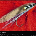 #94 Stewart's Hawk - Tony Smith