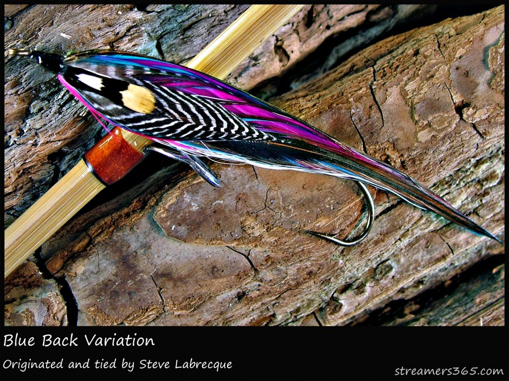 #129 Blue Back Variation - Steve Labrecque #129 Blue Back Variation - Steve Labrecque