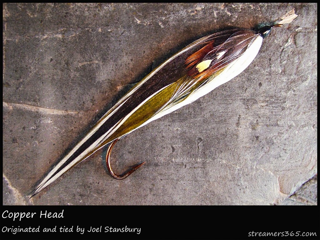 #137 Copper Head - Joel Stansbury #137 Copper Head - Joel Stansbury