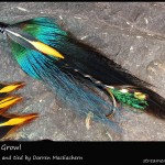 #199 Zayne's Growl - Darren MacEachern #199 Zayne's Growl - Darren MacEachern