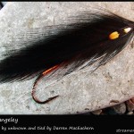 #280 Lady Rangeley - Darren MacEachern #280 Lady Rangeley - Darren MacEachern