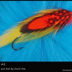 #306 Nephew #1 - David Mac #306 Nephew #1 - David Mac