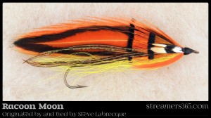 Raccoon Moon - Steve Labrecque