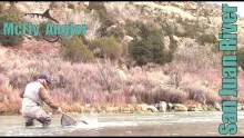 Video thumb for Finally Landed a Trout on the San Juan River!