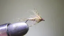 Video thumb for Hendrickson Soft Hackle
