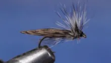 Video thumb for Little Black Stonefly