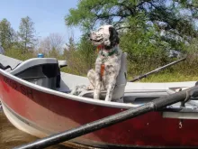 Video thumb for Trout Camp Video Diary