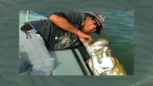 Video thumb for Belize Tarpon Tagging Expedition 
