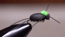 Video thumb for Foam Beetle 2.0