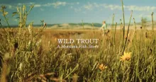 Video thumb for Wild Trout: A Montana Fish Story