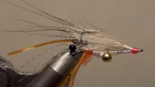 Video thumb for Koga's Bonefish Shrimp