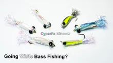Video thumb for Cypert's Minnow
