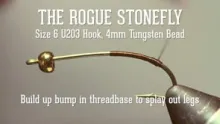 Video thumb for Rogue Stonefly