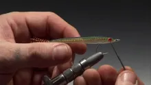 Video thumb for Seabass Herring
