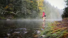 Video thumb for Native Brook Trout