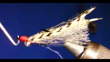Video thumb for Doc Halls Tailing Shrimp