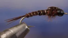 Video thumb for Isonychia Nymph