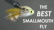 Video thumb for The Best Smallmouth Bass Fly