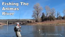 Video thumb for Animas River in January