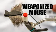 Video thumb for Weaponized Mouse
