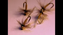 Video thumb for Sulfur Spinner Nymph