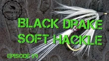 Video thumb for Dick Winter's Black Drake Soft Hackle