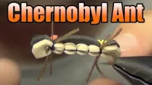 Video thumb for Chernobyl Foam Ant