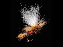 Video thumb for Royal Wulff Variant