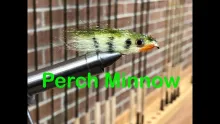 Video thumb for Perch Minnow
