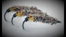 Video thumb for Cased Caddis nymph