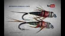 Video thumb for Rhithrogena Germanica Nymph