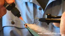 Video thumb for Anchovy Baitfish for Pacific Albacore