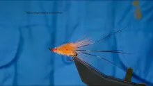 Video thumb for Organza Orange Krafla Shrimp