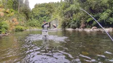 Video thumb for Fly Fishing Best river in New Zealand!
