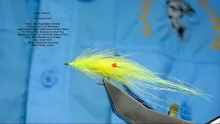 Video thumb for Baltic Shrimp Seatrout Fly