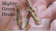Video thumb for Ephemera Danica Nymph