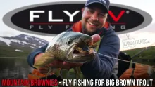 Video thumb for Mountain Brownies - Fly Fishing for Big Brown Trout