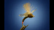 Video thumb for Fripple 2.0 Baetis Mayfly Cripple